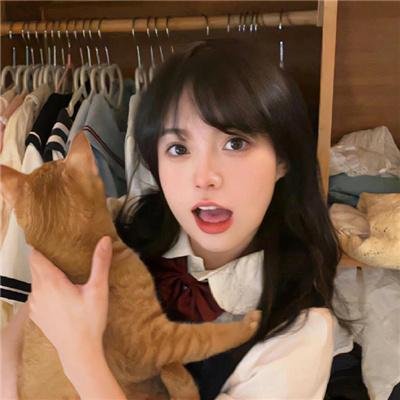 九辫妖狐